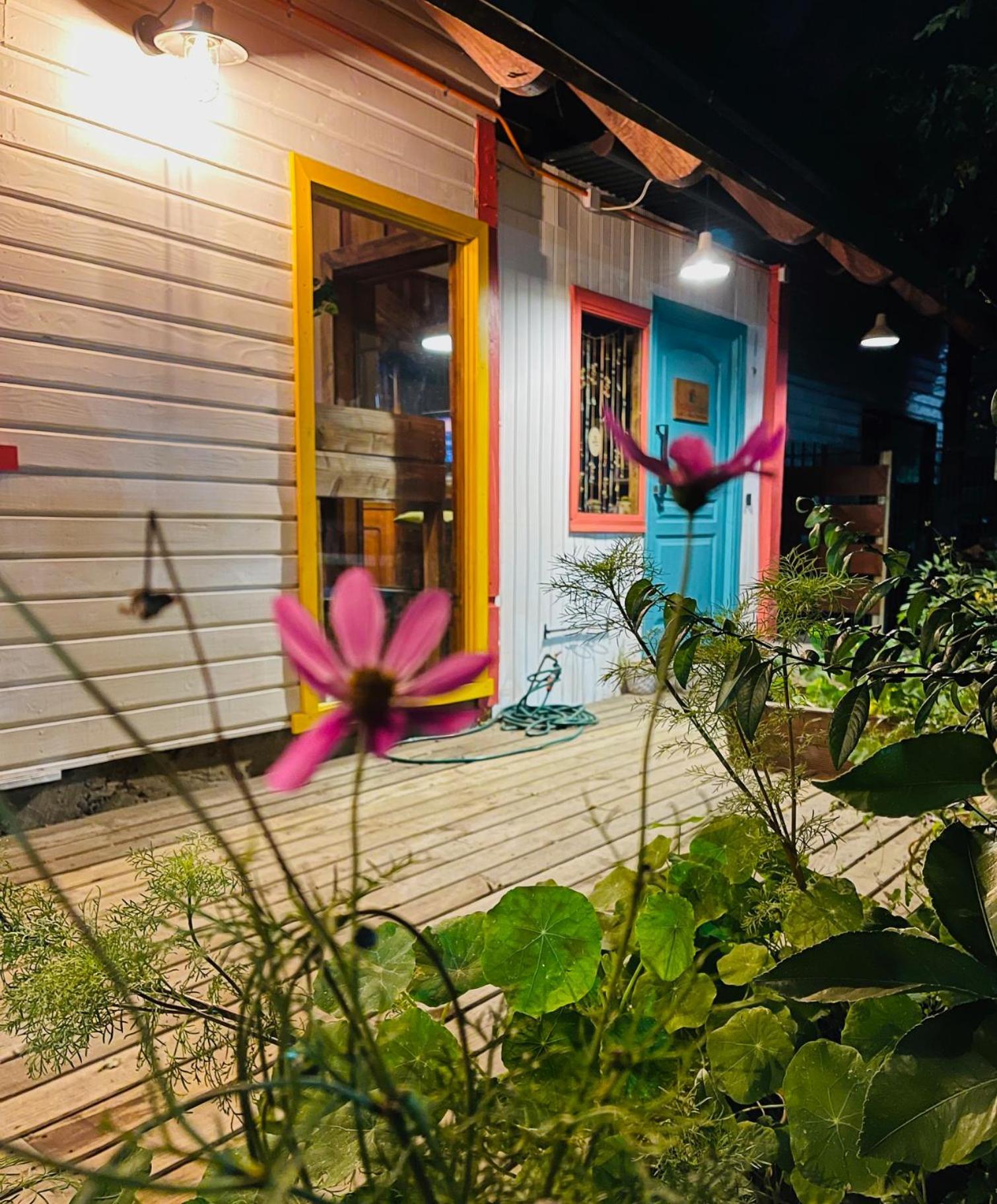 La Araucaria Hosteria Boutique - Ex Lounge Brasil Pucón Exterior foto
